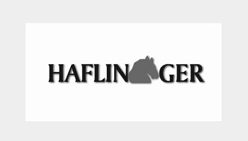 Haflinger